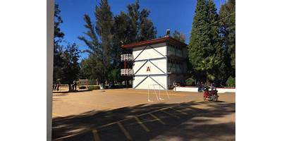 TELESECUNDARIA 542