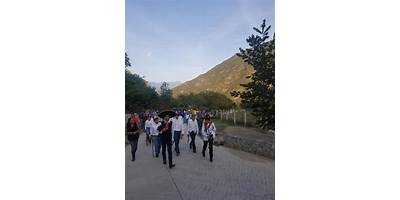 TELESECUNDARIA 547