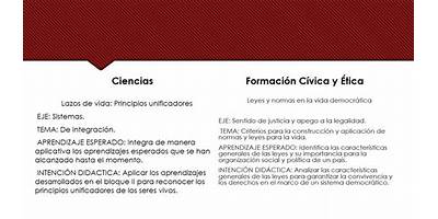 TELESECUNDARIA 6118