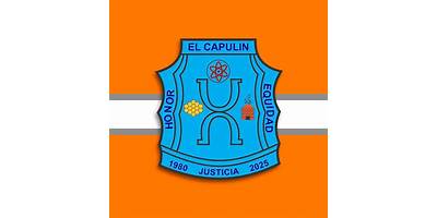 TELESECUNDARIA COMUNITARIA EL CAPULIN