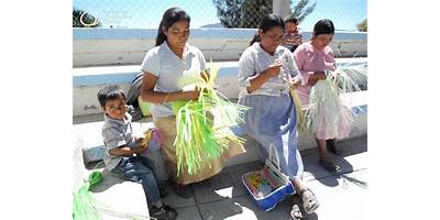 TELESECUNDARIA