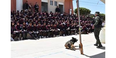 TELESECUNDARIA NUM. 122