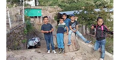 Imagen de la galería