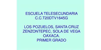 TELESECUNDARIA