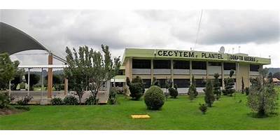 TRJ ARESE (CAPULIN)