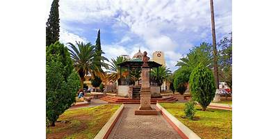 Imagen de la galería