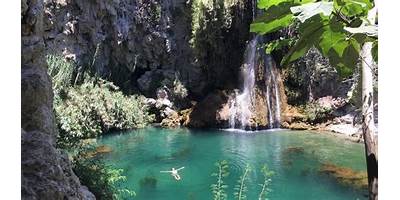 YAN KUI TANESI