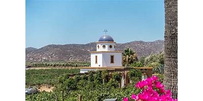 CAM VALLE DE GUADALUPE