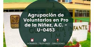 AGRUPACION DE VOLUNTARIOS EN PRO DE LA NINEZ A.C. U-0453