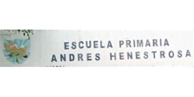 ANDRES HENESTROSA
