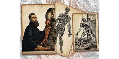 ANDRES VESALIO