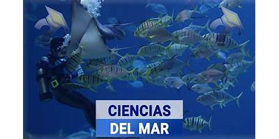 AREA DE CIENCIAS DEL MAR
