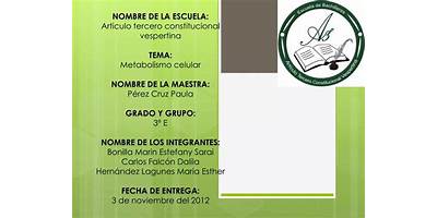 ARTICULO TERCERO