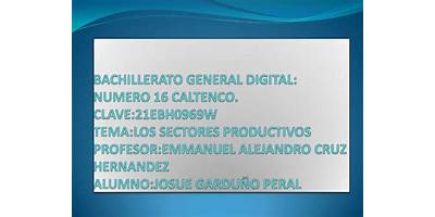BACHILLERATO GENERAL DIGITAL NUM.33