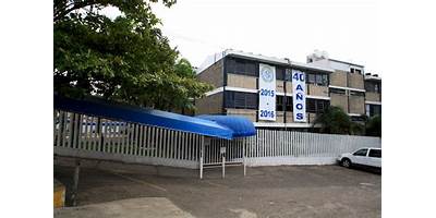 CARLOS PELLICER CAMARA