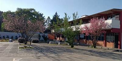 CBT TEMOAYA