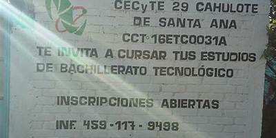 CECYTE MICHOACÁN 29 CAHULOTE DE SANTA ANA