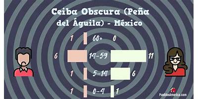 CEIBA OBSCURA