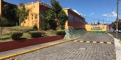 CENDI 8 MAS