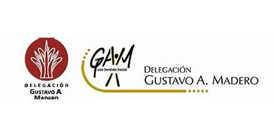CENDI GDF DELEGACION G.A.M. 33