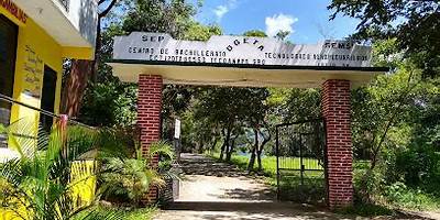 CENTRO DE BACHILLERATO TECNOLOGICO AGROPECUARIO NUM 191