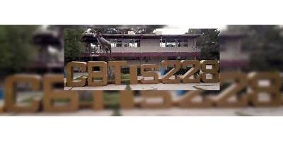 CENTRO DE BACHILLERATO TECNOLOGICO INDUSTRIAL Y DE SERVICIOS NUM. 228