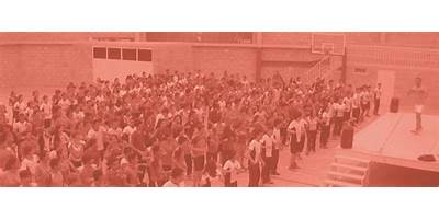 CENTRO DE DESARROLLO INTEGRAL ARBOLEDAS