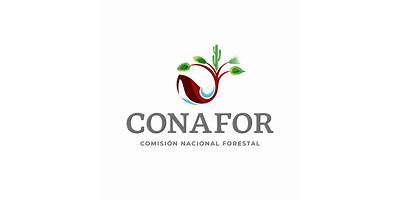 CENTRO DE EDUCACION Y CAPACITACION FORESTAL NUM. 3