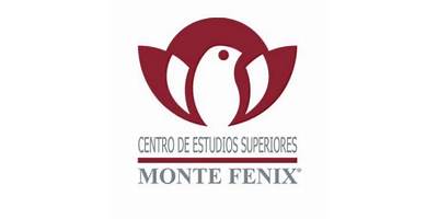 CENTRO DE ESTUDIOS SUPERIORES MONTE FENIX