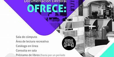 CENTRO DE FORMACION Y DOCUMENTACION ELECTORAL
