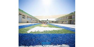 CENTRO EDUCATIVO ALEXANDER BAIN IRAPUATO