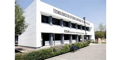 CENTRO TECNOLÓGICO DE ESTUDIOS SUPERIORES DEL VALLE DE MÉXICO PLANTEL NAUCALPAN