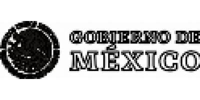CENTRO TECNOLÓGICO UNIVERSITARIO DE MÉXICO (CETUM)