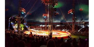 CIRCO HERMANOS SUAREZ PRIMARIA
