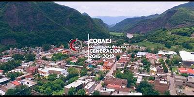 COBAEJ CUYUTLAN TBC 59