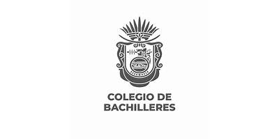 COLEGIO DE BACHILLERES BACHILLERATO MUNICIPAL INCORPORADO PLANTEL TLAQUILTZINAPA