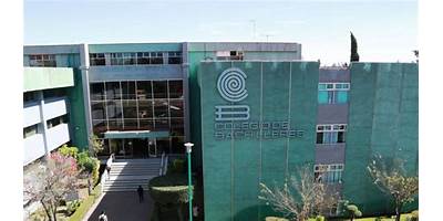 COLEGIO DE BACHILLERES DEL ESTADO DE CHIHUAHUA PLANTEL 26