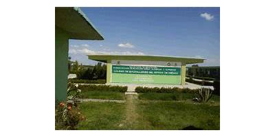 COLEGIO DE BACHILLERES DEL ESTADO DE MÉXICO PLANTEL 16 COYOTEPEC