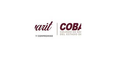 COLEGIO DE BACHILLERES DEL ESTADO DE NAYARIT NUM. 20