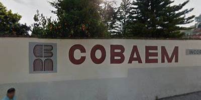 COLEGIO DE BACHILLERES INCORPORADO