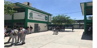 COLEGIO DE BACHILLERES NUM. 114