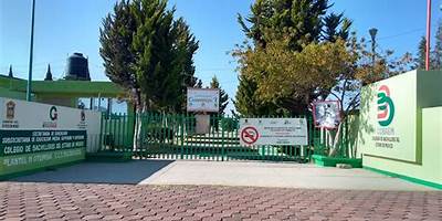 COLEGIO DE BACHILLERES PLANTEL TINGUINDIN