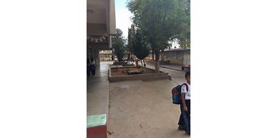 COLEGIO DE BACHILLERES VICTOR ROSALES