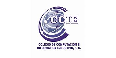 COLEGIO DE COMPUTACION EN INFORMATICA EJECUTIVO, S.C. PLANTEL VALLEJO