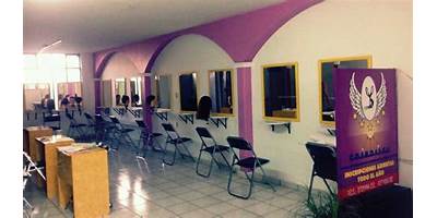 COLEGIO DE ESTILISTAS PARA LA BELLEZA INTEGRAL