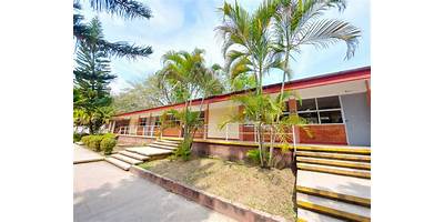 COLEGIO DE ESTUDIOS CIENTIFICOS Y TECNOLOGICOS DEL ESTADO DE HIDALGO PLANTEL ATLAPEXCO