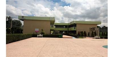 COLEGIO DE ESTUDIOS CIENTÍFICOS Y TECNOLÓGICOS DEL ESTADO DE MÉXICO PLANTEL TEZOYUCA