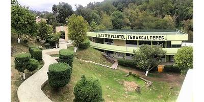 COLEGIO DE ESTUDIOS CIENTÍFICOS Y TECNOLÓGICOS DEL ESTADO DE MÉXICO PLANTEL TULTITLÁN