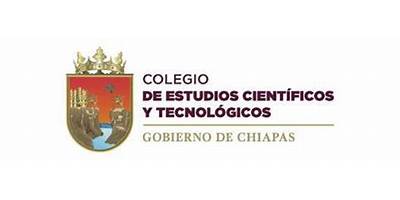 COLEGIO DE ESTUDIOS CIENTIFICOS Y TECNOLOGICOS DEL ESTADO DE ZACATECAS PLANTEL SAN JOSE DE LOURDES