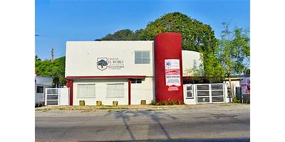 COLEGIO EL ROBLE